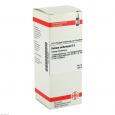 KALIUM SULFURICUM D 6 Dilution