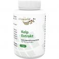 KELP EXTRAKT Kapseln