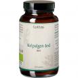 KELPALGEN-Jod Bio Kapseln Erdling