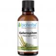 KIEFERNSPITZEN Pinus sylvestris L.Tinktur