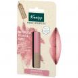 KNEIPP farbige Lippenpflege rosewood