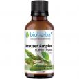 KRAUSER AMPFER Rumex crispus Tinktur