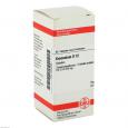 KREOSOTUM D 12 Tabletten