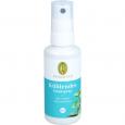 KÜHLENDES Hautspray Bio