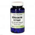 KÜRBISKERN EXTRAKT 450 mg GPH Kapseln