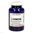 L-CARNOSIN 250 mg GPH Kapseln