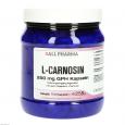 L-CARNOSIN 250 mg GPH Kapseln