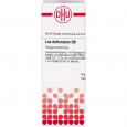 LAC DEFLORATUM D 6 Dilution