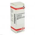 LACHESIS C 30 Dilution