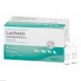 LACHESIS COMPOSITUM N ad us.vet.Ampullen