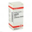 LACHNANTHES tinctoria D 6 Tabletten