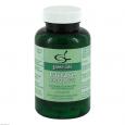 LACTASE 12.000 FCC Kapseln
