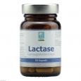 LACTASE KAPSELN