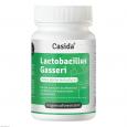 LACTOBACILLUS Gasseri Kapseln
