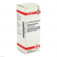 LATHYRUS SATIVUS D 4 Dilution