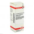 LATHYRUS SATIVUS D 6 Dilution