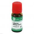 LATHYRUS SATIVUS LM 6 Dilution