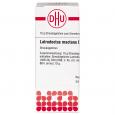 LATRODECTUS mactans D 20 Globuli Ind.Fert.