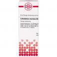 LATRODECTUS mactans D 8 Dilution
