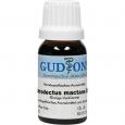 LATRODECTUS mactans Q 3 Lösung