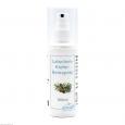 LATSCHENKIEFER BEINSPRAY