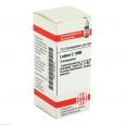 LEDUM C 1000 Globuli