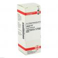 LEDUM D 4 Dilution