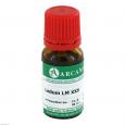 LEDUM LM 30 Dilution