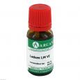LEDUM LM 6 Dilution