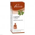 LEGAPAS Tropfen