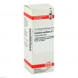 LEONURUS CARDIACA D 1 Dilution