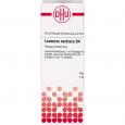 LEONURUS CARDIACA D 4 Dilution