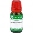 LEPIDIUM bonariense LM 3 Dilution