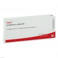 LEVISTICUM E radice D 4 Ampullen