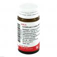 LEVISTICUM E radice D 6 Globuli