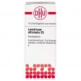LEVISTICUM OFFICINALE C 5 Globuli Ind.Fert.