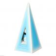 LIGHT FREQUENCY Antarctic Essence Tropfen