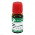 LILIUM TIGRINUM LM 18 Dilution