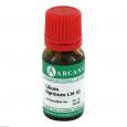 LILIUM TIGRINUM LM 6 Dilution