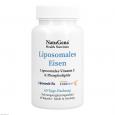 LIPOSOMALES Eisen+Vitamin C vegan Kapseln