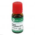 LITHIUM CARBONICUM LM 6 Dilution