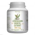 LÖWENZAHNWURZEL-Extrakt 500 mg Mono Kapseln