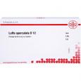 LUFFA OPERCULATA D 12 Ampullen