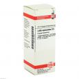 LUFFA OPERCULATA D 5 Dilution