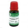 LYCOPODIUM LM 3 Dilution