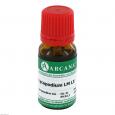 LYCOPODIUM LM 60 Dilution