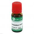 LYCOPODIUM LM 90 Dilution