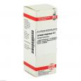 LYCOPUS VIRGINICUS D 2 Dilution