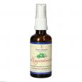 MAGENTROST Spray