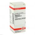 MAGNESIUM CARBONICUM D 8 Tabletten